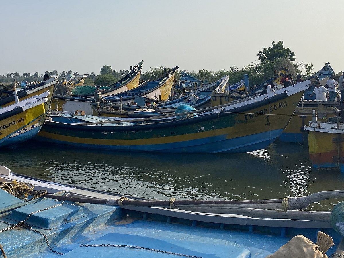 A number of blue-and-yellow wooden boats belonging to fishermen from India can be seen on the water.