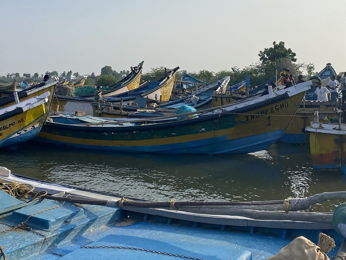 Auf dem Wasser sind etliche blau-gelbe Holzboote der Fischer aus Indien zu sehen.